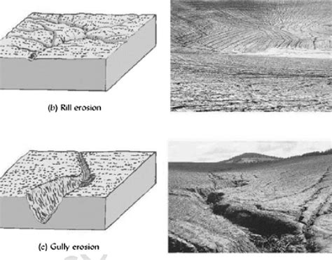 Rill Erosion Definition Earth Science - The Earth Images Revimage.Org