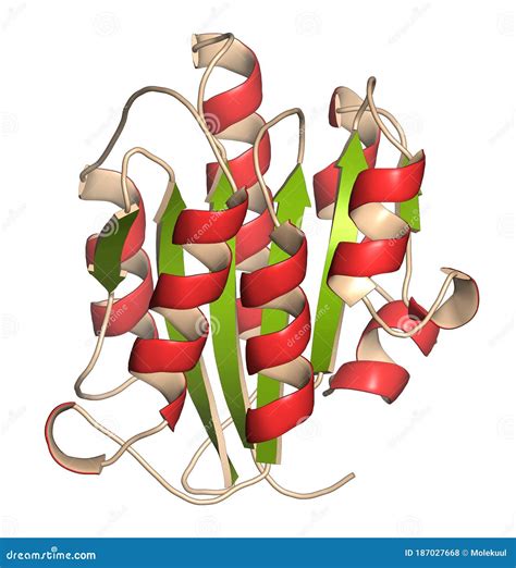 Von Willebrand Factor (A3 Domain). Defects and Deficiencies Cause Bleeding Diseases Stock ...