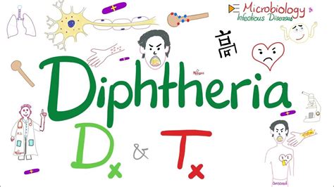 Corynebacterium diphtheriae Diagnosis and Treatment | Microbiology 🧫 ...