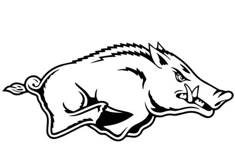 Wild Boar Smiling Coloring Page - Free Printable Coloring Pages for Kids