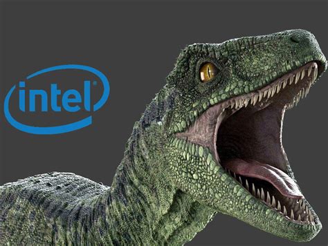 Intel Core i9-13900K Raptor Lake processor makes yet another appearance ...