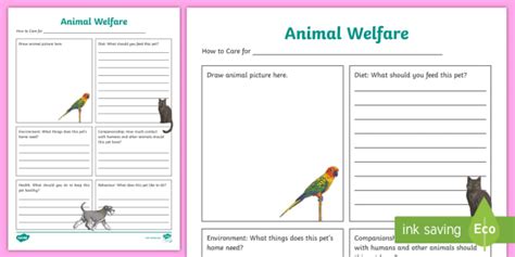 Animal Welfare Information Poster Worksheet