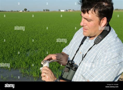 Ornithologist hi-res stock photography and images - Alamy