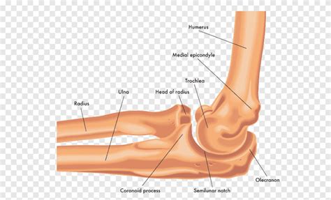 Injections for Olecranon Bursitis | Steroid Injections For Elbow Pain ...