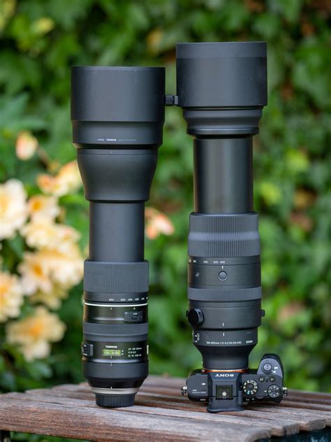 Sigma 150-600mm f5-6.3 DG DN OS review | Cameralabs