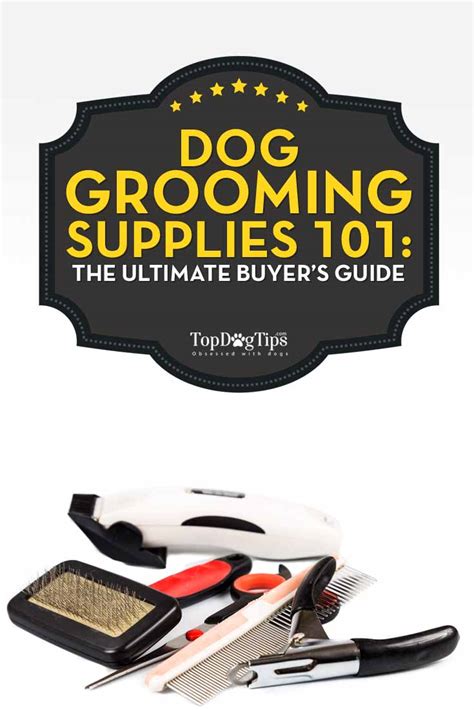 Dog Grooming Supplies 101: The Ultimate Buyers' Guide – Top Dog Tips