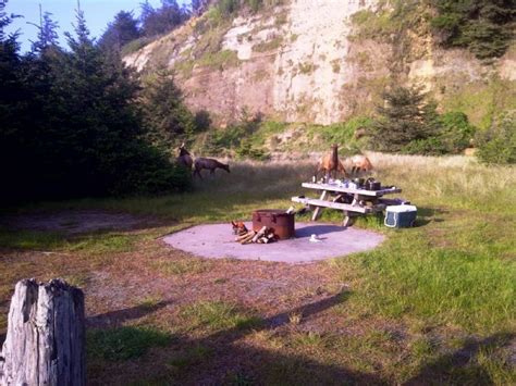 Camping on the Redwood Coast, Humboldt County, California | Humboldt ...