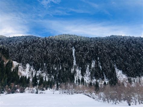 Svaneti Ski Resort • Local Georgia