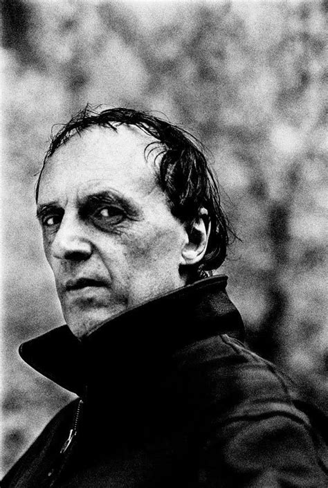 Dario Argento (1940) Italian filmmaker, and critic | Dario argento ...