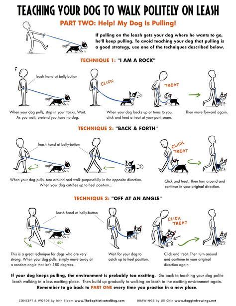 DOG TRAINING TIPS 35 | Dogs, Dog training, Dog training tips