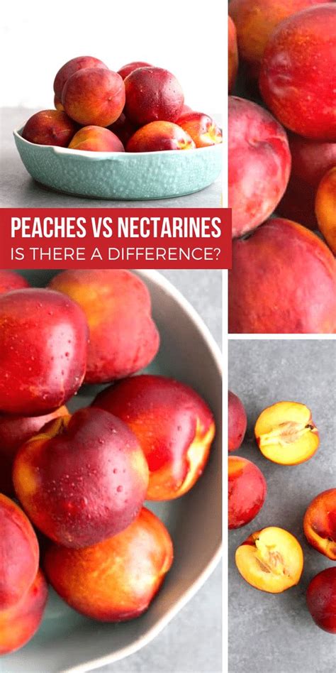 Peach vs Nectarine: What’s the Difference? | Nectarine recipes, Fun easy recipes, Fresh fruit ...