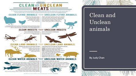 Clean and Unclean animals - YouTube