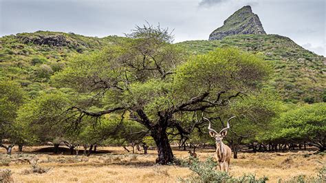 Casela Nature Park - Mauritius - Travel photography | Flickr