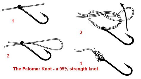 palomar-knot - Reel Saltwater Fishing