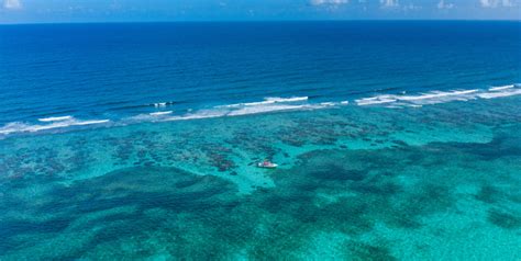 Belize Barrier Reef Turns 10,000 Years Old - Sunbreeze Suites