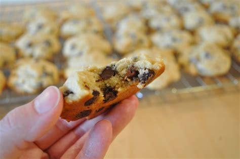 My Tiny Oven: Ricotta Chocolate Chip Cookies