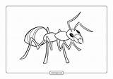 Free Ant Coloring Sheet sketch template