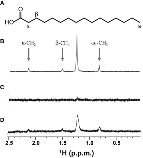 STD analysis of palmitate. (A) Structure of palmitate. (B) Reference ¹H... | Download Scientific ...