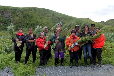 AK: After 75 years, a bittersweet homecoming for Attu descendants - Alaska Public Media