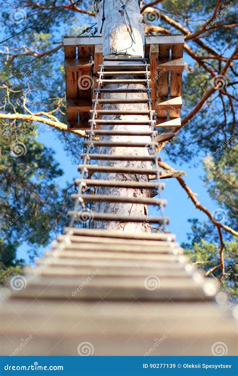 Obstacle Course in the Rope Park Stock Image - Image of obtacle, brave ...