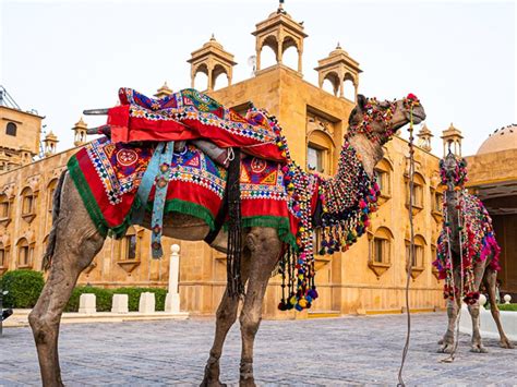 Culture of Rajasthan – Traditions, Festivals, Cuisine, Customs & More