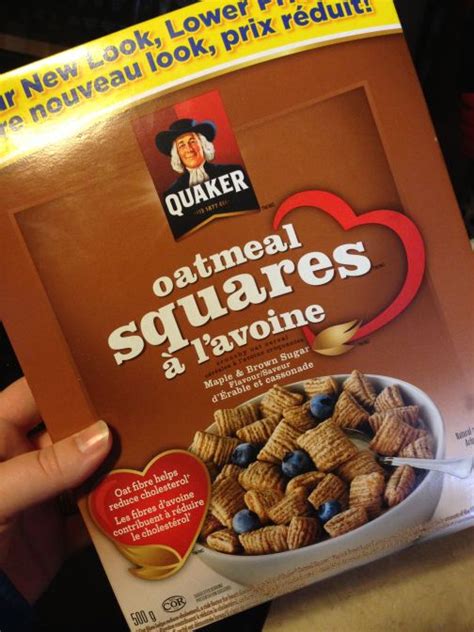 Quaker-Oatmeal-Squares | QuirkyCori