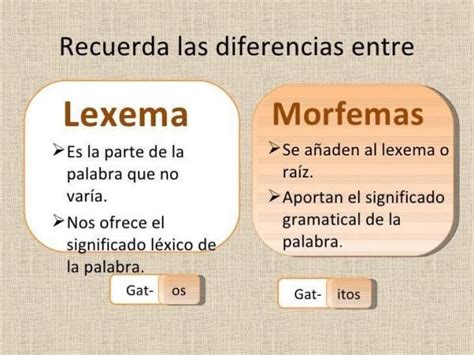 ejemplos de morfemas y lexemas - Buscar con Google | Apuntes de lengua, Palabras de ortografía ...