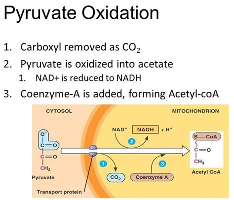 Oxidation