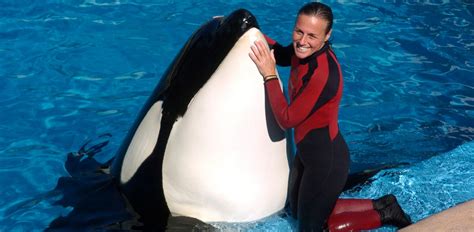 Family of Slain SeaWorld Trainer Denounces Documentary - ABC News