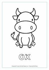 Ox Colouring Pages sketch template
