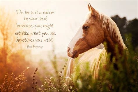 Best 25+ Inspirational horse quotes ideas on Pinterest | Horse riding quotes, Horse quotes and ...