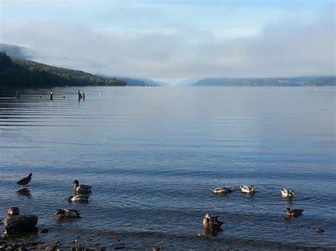 Loch Ness and Glen Affric Tour - Inverness Tours