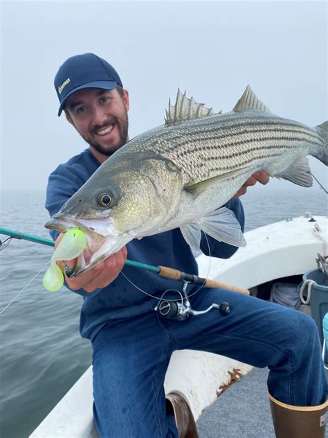 INSHORE: A LATE FALL STRIPER SELECTION - The Fisherman