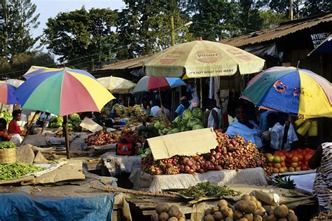 Fort Portal travel | Southwestern Uganda, Uganda - Lonely Planet