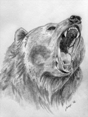 bear sketches | realistic bear drawing by VempireTattoo on deviantART ...