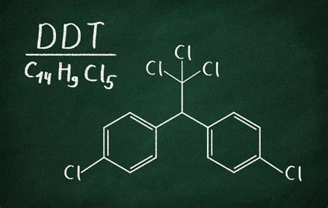 DDT Overview