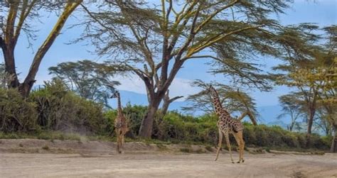 Planning a Perfect Day Trip to Crater Lake in Naivasha.