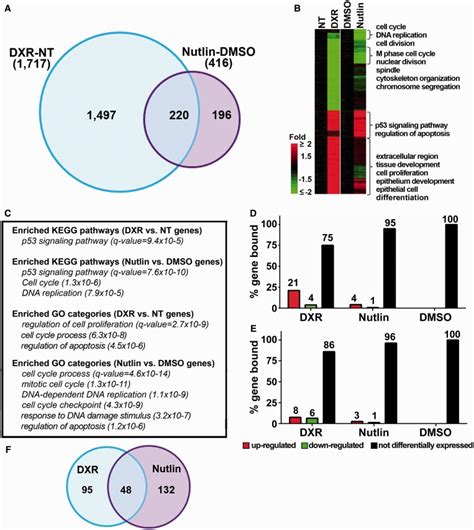 Gene expression analysis following various treatments. (A) Number of... | Download Scientific ...