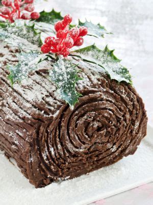 Christmas Chocolate Yule Log on BakeSpace.com