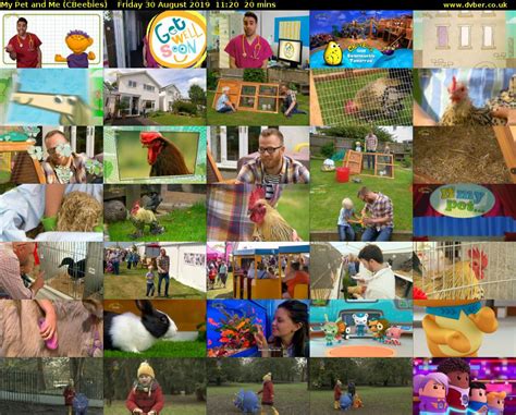 My Pet and Me (CBeebies) - 2019-08-30-1120