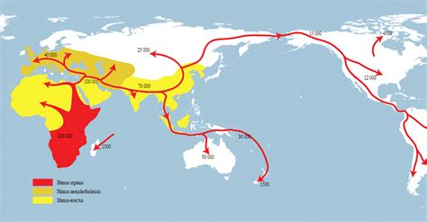 Early Human Migration - Ancient History Encyclopedia