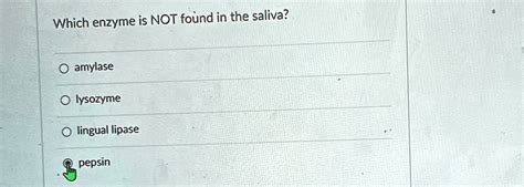 Which enzyme is NOT found in the saliva? O amylase O lysozyme O lingual lipase O pepsin