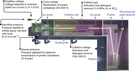 Schematic of a Q-TOF mass spectrometer used for mass measurements of... | Download Scientific ...