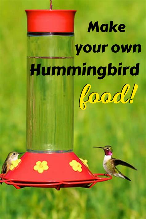 Easiest Homemade Hummingbird Food Recipe (2-Ingredients!) | Recipe ...