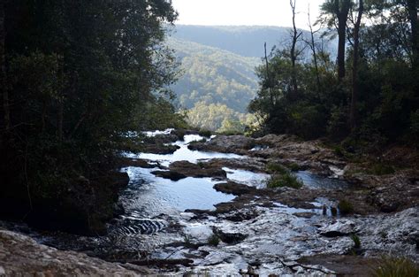 Springbrook National Park, QLD | National parks, Beautiful places, Outdoor