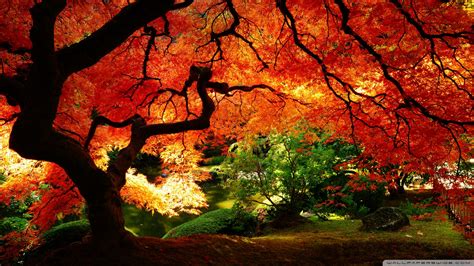 🔥 [140+] Beautiful Autumn Wallpapers | WallpaperSafari