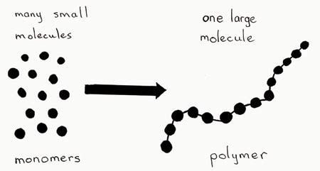 What is difference between polymer and monomer? - Global Recycle