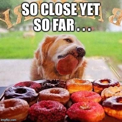 12 National Doughnut Day Memes To Share While You Munch On Some Sweet ...