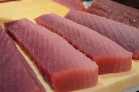 Bigeye Tuna - Facts and Beyond | Biology Dictionary