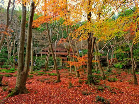 10 Best Autumn Leaves Spots in Kyoto 2018 – Japan Travel Guide -JW Web Magazine